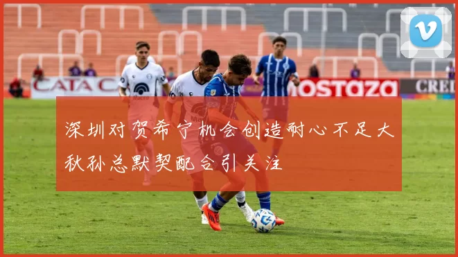 深圳对贺希宁机会创造耐心不足大秋孙总默契配合引关注